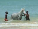 Enfants au S&eacute;n&eacute;gal