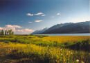 Le parc de Yellowstone
