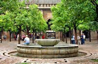 Patio des Oranges