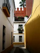 Santa Cruz