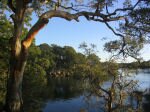 Le bush australien